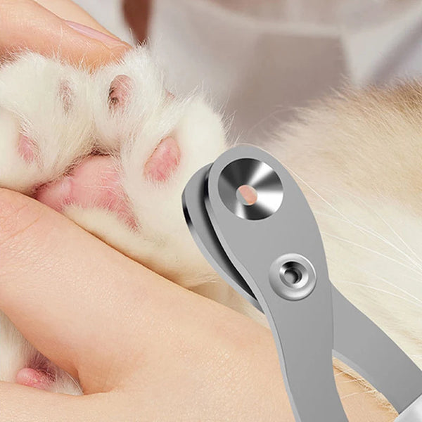 Pet-Friendly Nail Clippers